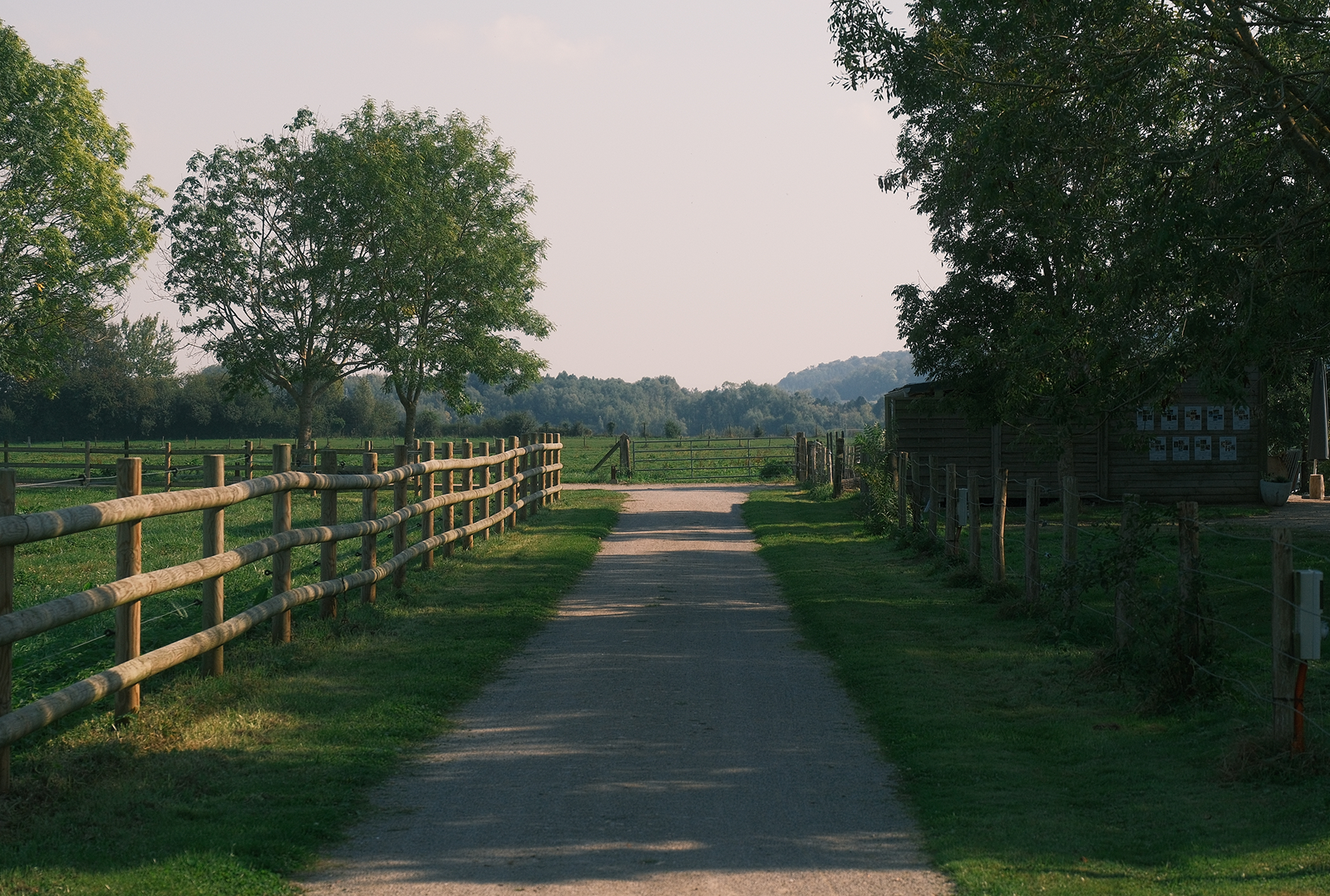 Description of the image