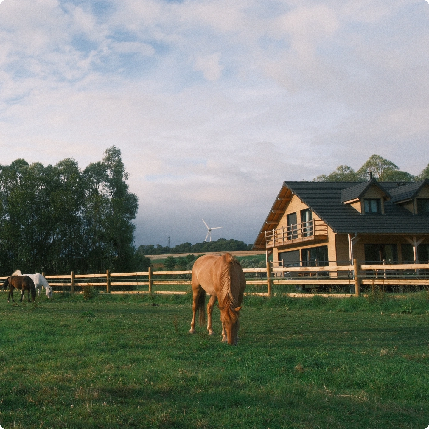 Chalet en bois et chevaux paissant dans un pré au soleil couchant