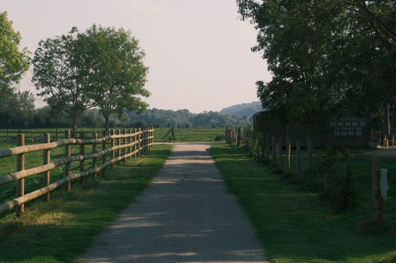 Central dirt path lined with green grass and a wooden fence