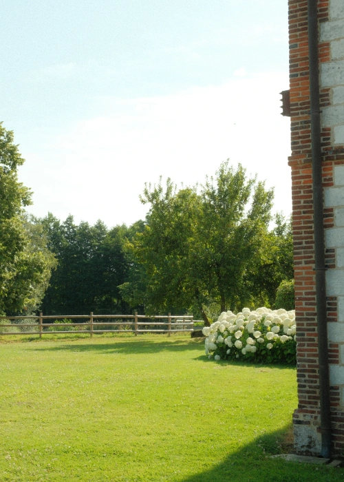 Lush lawn with a cluster of flowers, garden of the Maison la Tour at the Domaine du Lieudieu