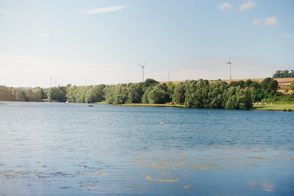 View of one of the tree-lined ponds at LieuDieu