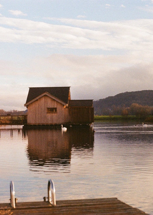 Cabane sur l'eau, sunset, swan on the pond