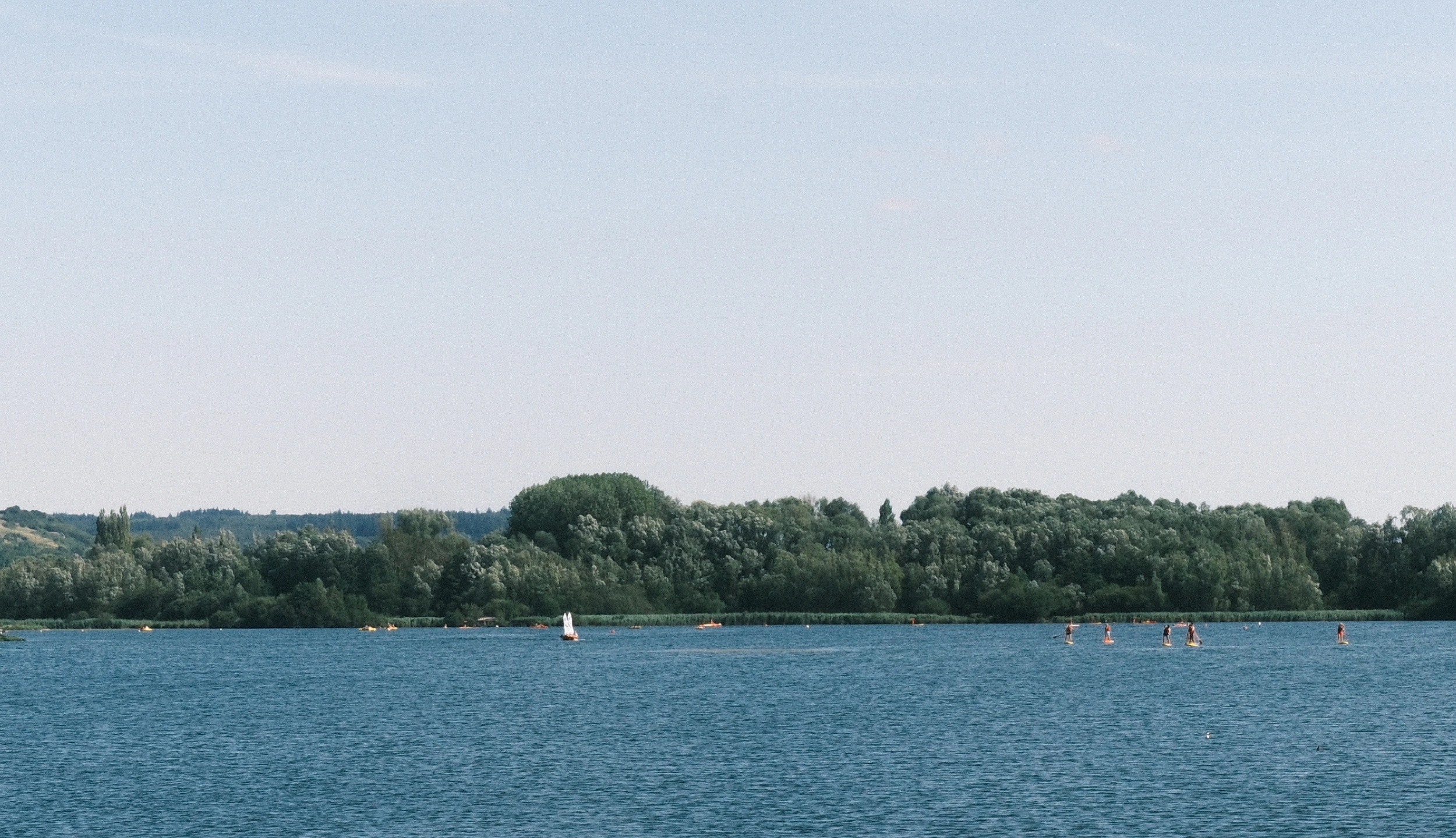 Lake with paddleboarders in the distance and a wooded shore