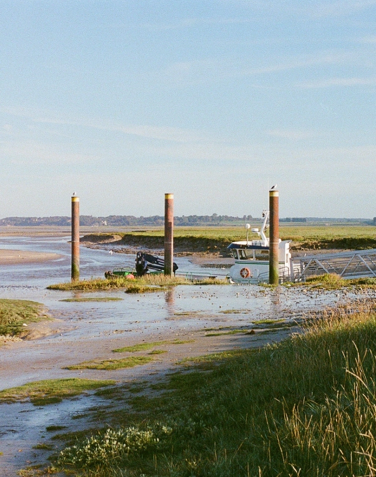 Bay at low tide with mooring posts and a beached boat