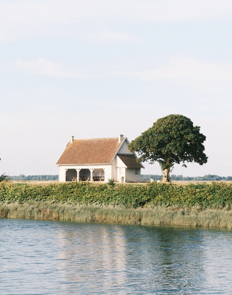 White house with a tiled roof beside the water, near a tree