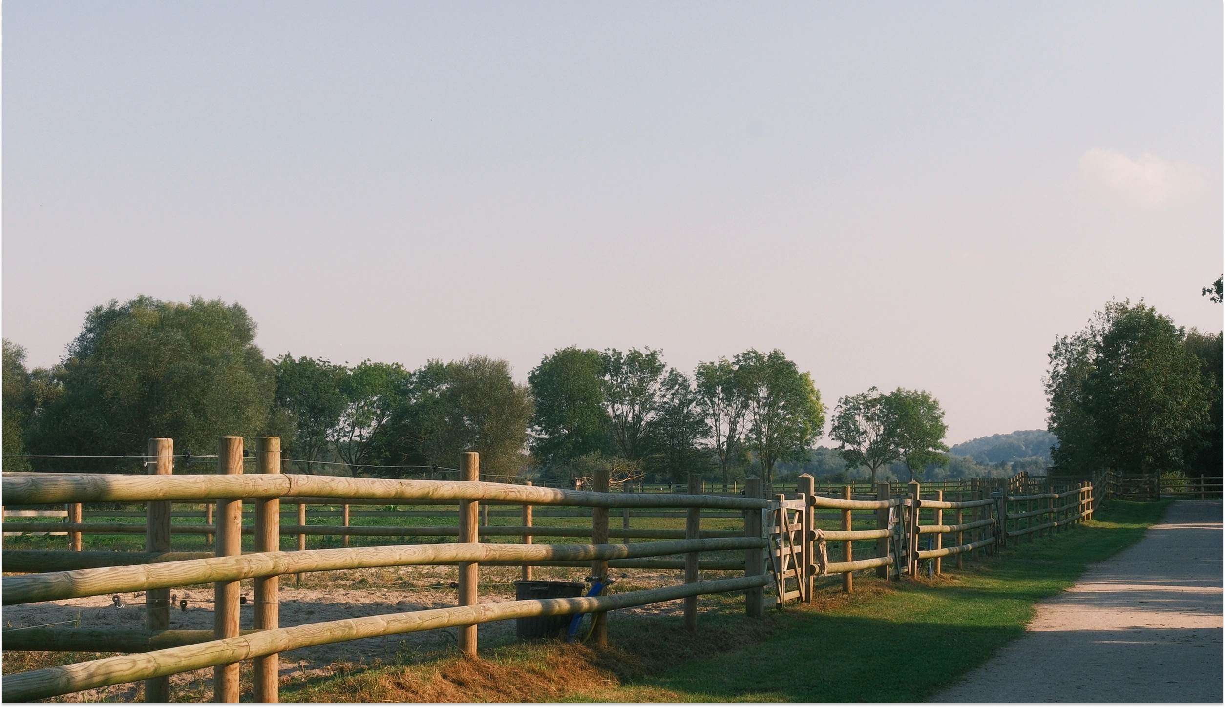 Wooden paddock fences lining a path, trees on the horizon