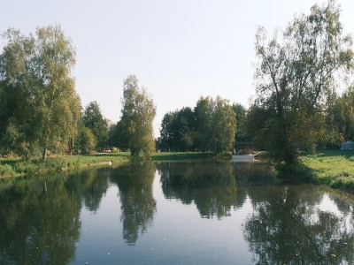 Étang calme bordé d'arbres avec leurs reflets dans l'eau