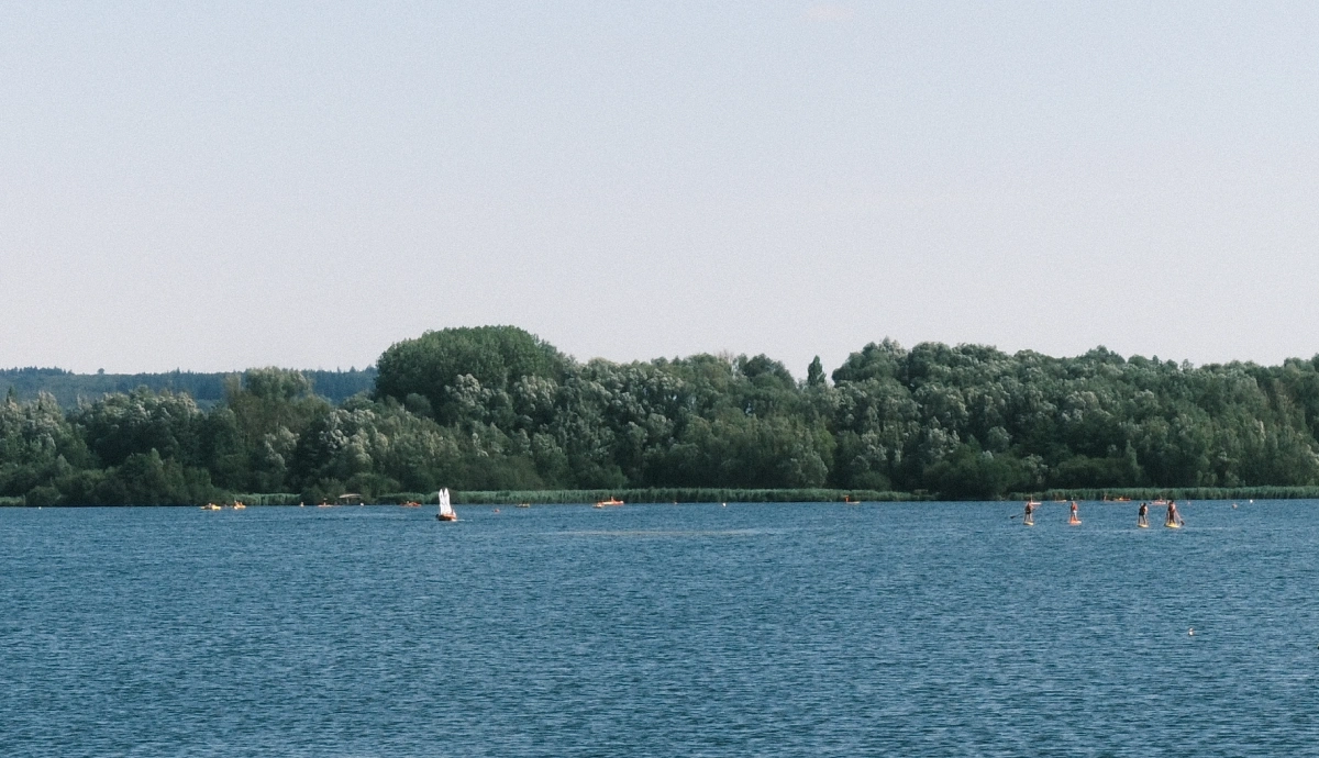 Paddle et voile sur un lac bordé de forêt