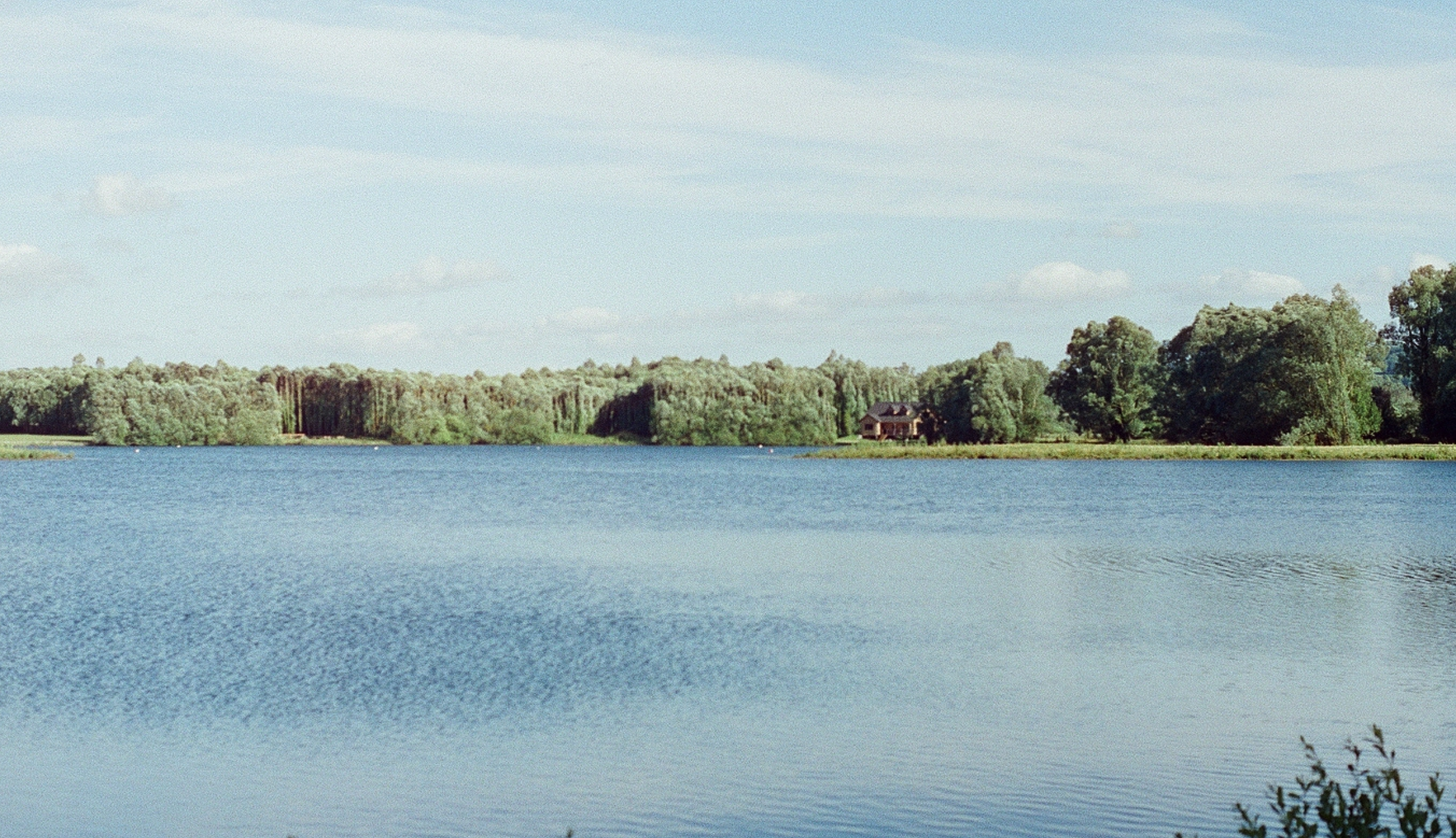 Grand étang entouré d'arbres avec une maison sur la rive opposée