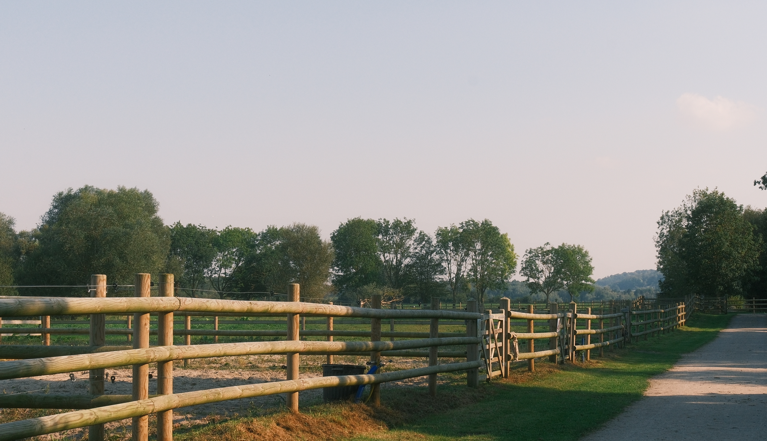 Wood-fenced riding paddocks lining a path, trees behind