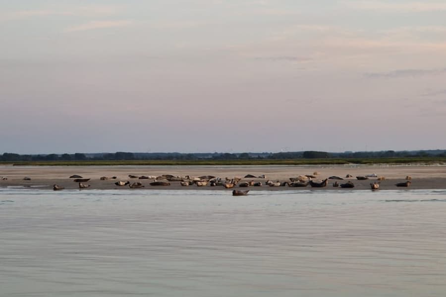 A beach where seals gather in the bay towards Le Hourdel